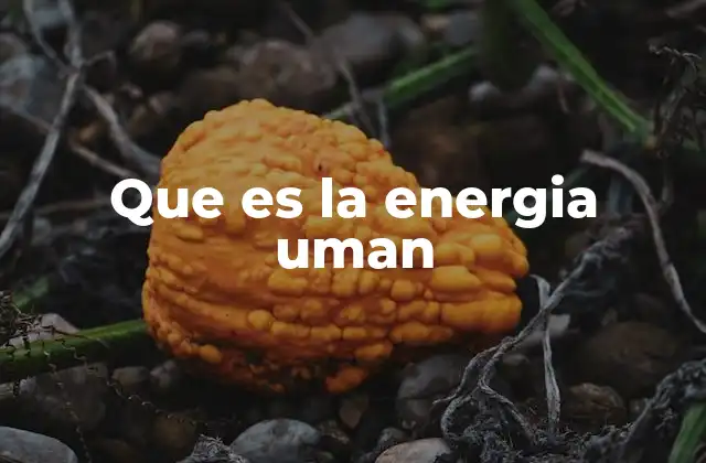 Que es la Energia Uman