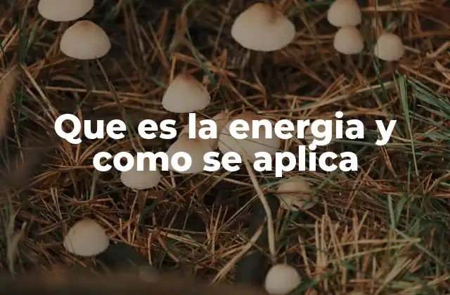 Que es la Energia y como Se Aplica