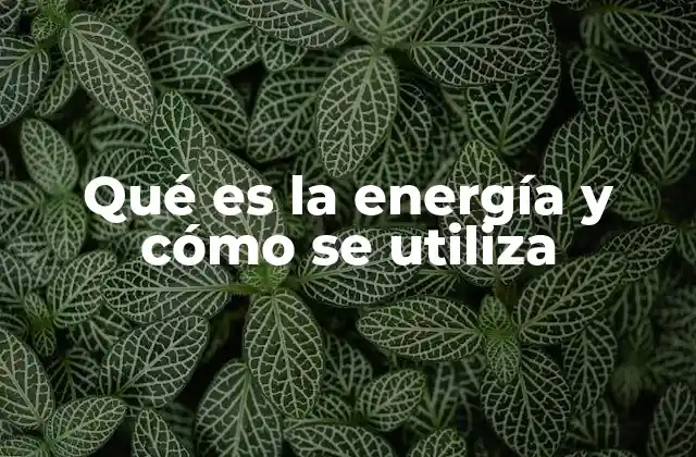 Qué es la Energía y Cómo Se Utiliza