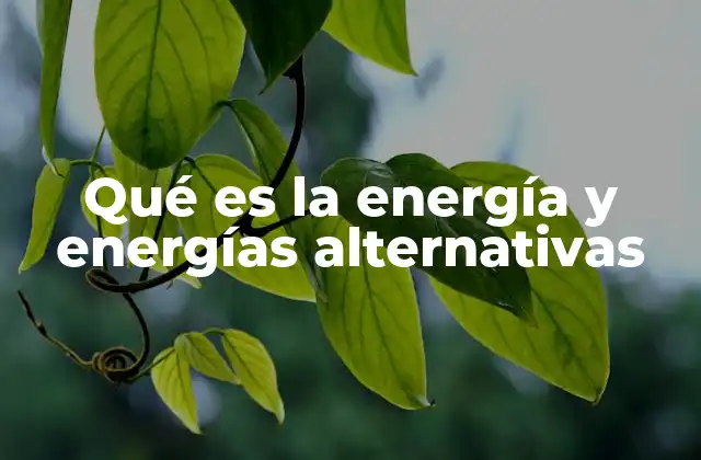 Qué es la Energía y Energías Alternativas 2 El papel de las fuentes de energía en el desarrollo humano