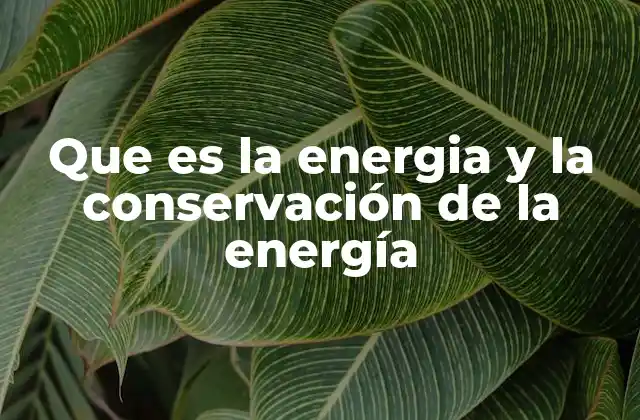 Que es la Energia y la Conservación de la Energía