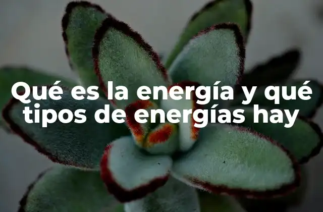 Qué es la Energía y Qué Tipos de Energías Hay