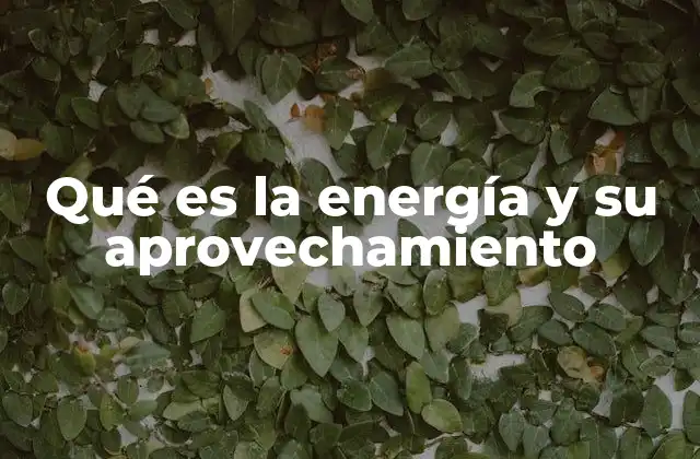 Qué es la Energía y Su Aprovechamiento