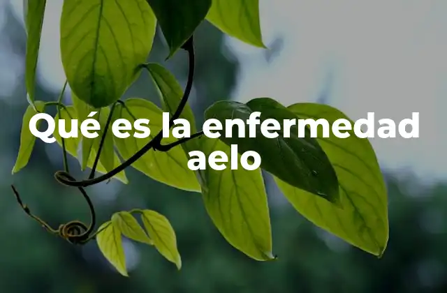 Qué es la Enfermedad Aelo 2 Causas y factores que desencadenan la enfermedad aelo