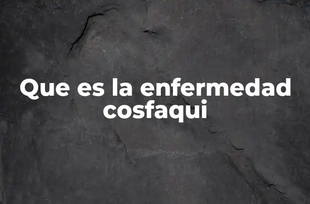 Orígenes y usos del término cosfaqui