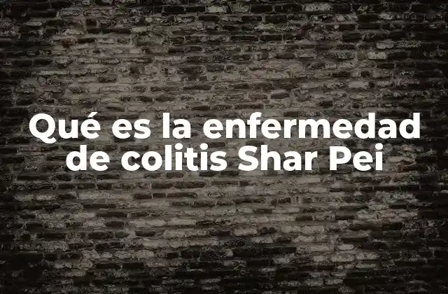 Qué es la Enfermedad de Colitis Shar Pei