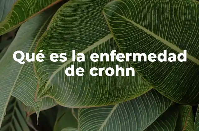 Qué es la Enfermedad de Crohn