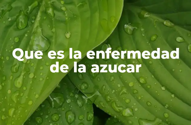 Que es la Enfermedad de la Azucar