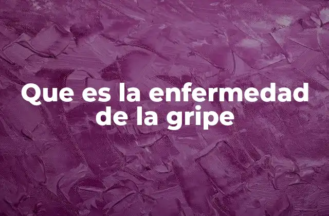 Que es la Enfermedad de la Gripe