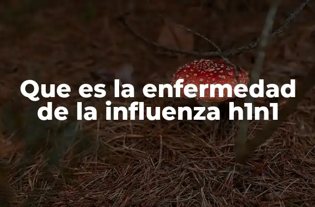 Que es la Enfermedad de la Influenza H1n1