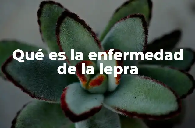 Qué es la Enfermedad de la Lepra