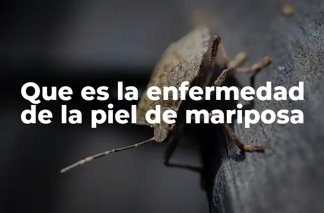 Que es la Enfermedad de la Piel de Mariposa