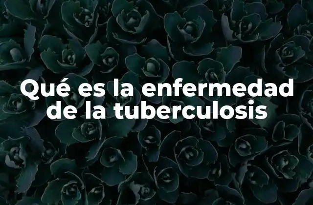 Qué es la Enfermedad de la Tuberculosis