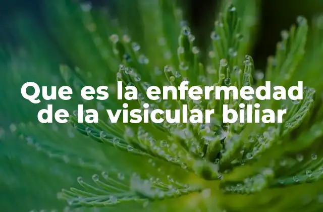 Causas y factores de riesgo de la enfermedad biliar