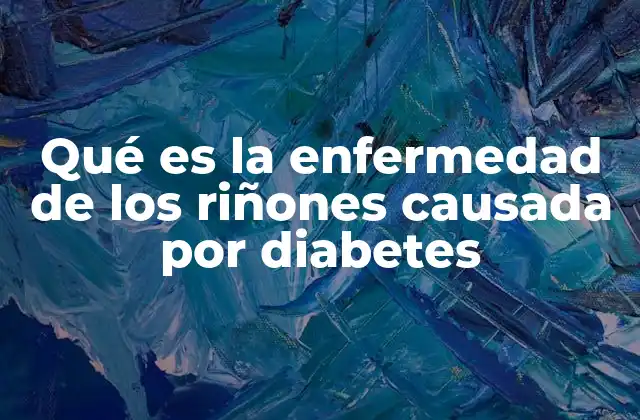 Qué es la Enfermedad de los Riñones Causada por Diabetes