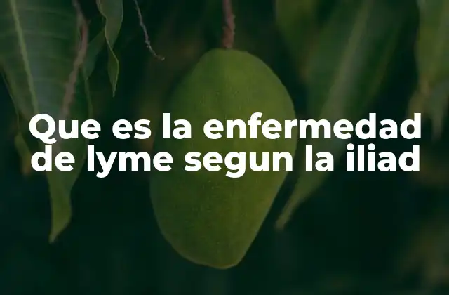 Que es la Enfermedad de Lyme Segun la Iliad