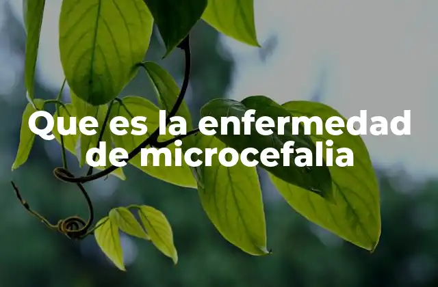 Que es la Enfermedad de Microcefalia