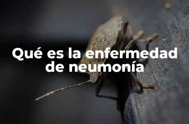 Qué es la Enfermedad de Neumonía