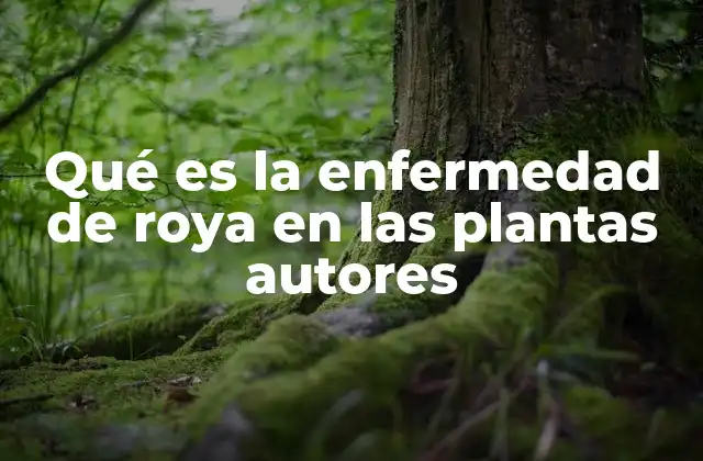 Qué es la Enfermedad de Roya en las Plantas Autores