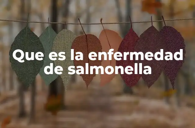 Que es la Enfermedad de Salmonella
