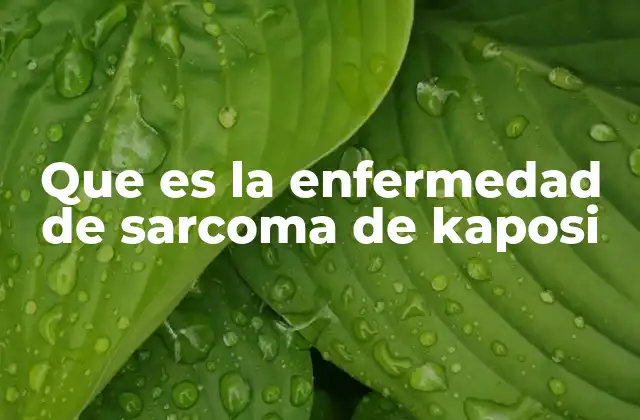 Que es la Enfermedad de Sarcoma de Kaposi 2 Cómo se desarrolla el sarcoma de Kaposi