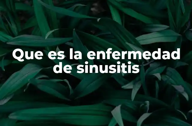 Que es la Enfermedad de Sinusitis 2 Causas y factores de riesgo de la sinusitis