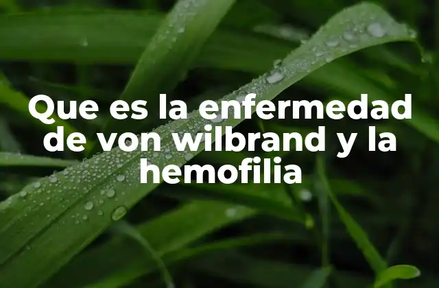 Que es la Enfermedad de Von Wilbrand y la Hemofilia