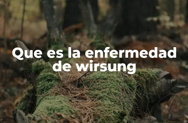 Que es la Enfermedad de Wirsung