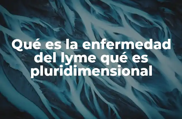 Qué es la Enfermedad Del Lyme Qué es Pluridimensional 2 Los múltiples aspectos de la enfermedad de Lyme