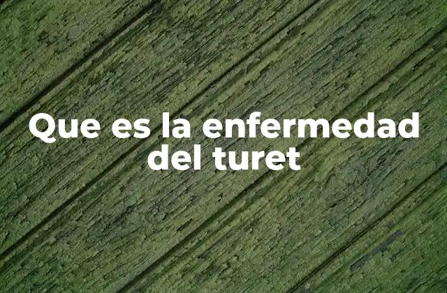 Que es la Enfermedad Del Turet