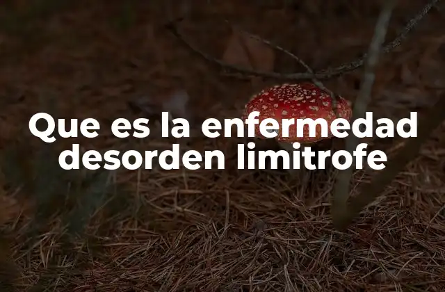 Que es la Enfermedad Desorden Limitrofe