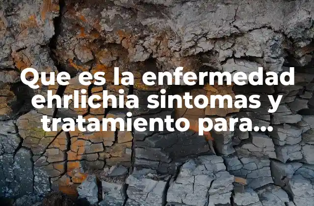 Que es la Enfermedad Ehrlichia Sintomas y Tratamiento para Humanos