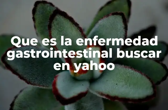 Que es la Enfermedad Gastrointestinal Buscar en Yahoo