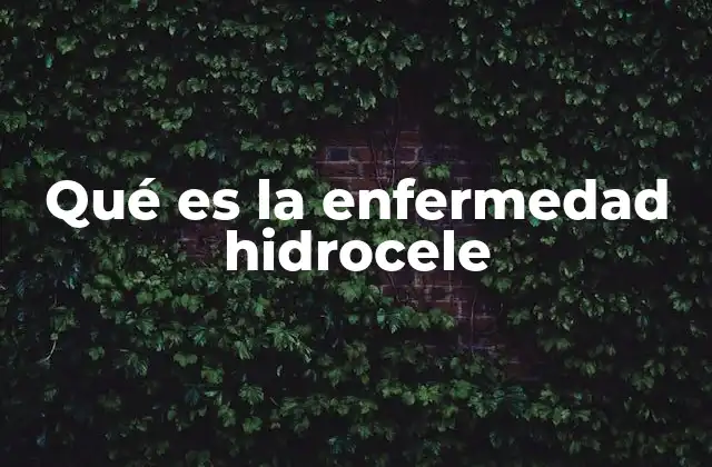 Qué es la Enfermedad Hidrocele