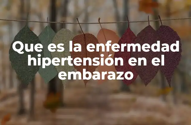 Que es la Enfermedad Hipertensión en el Embarazo