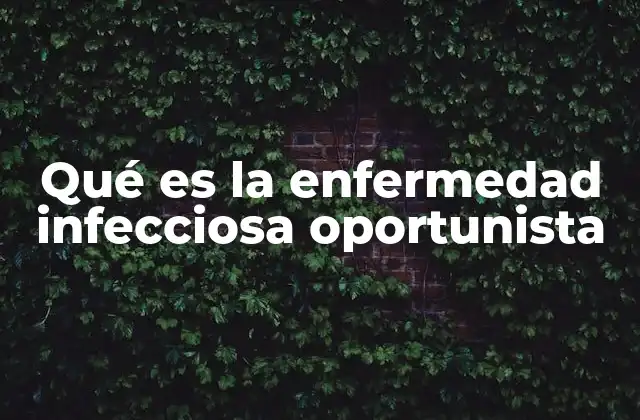 Qué es la Enfermedad Infecciosa Oportunista