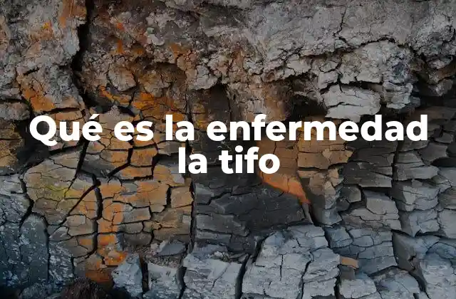 Qué es la Enfermedad la Tifo