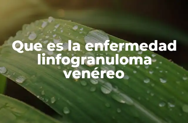 Que es la Enfermedad Linfogranuloma Venéreo