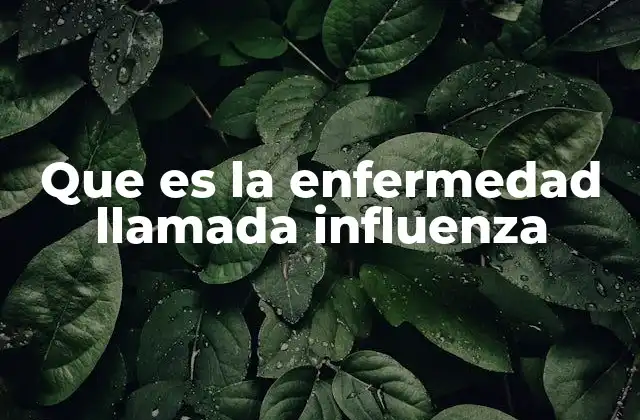 Que es la Enfermedad Llamada Influenza