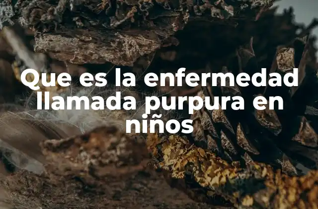 Que es la Enfermedad Llamada Purpura en Niños