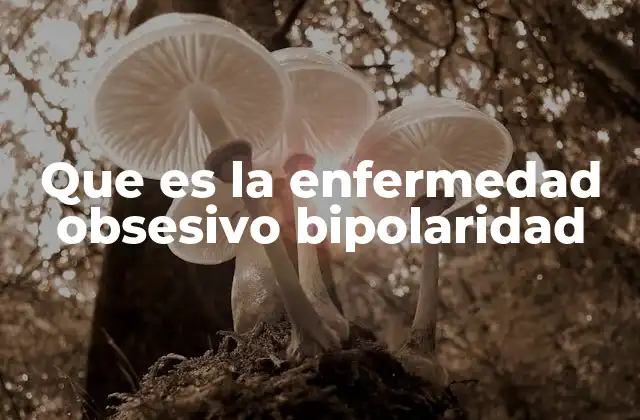 Que es la Enfermedad Obsesivo Bipolaridad