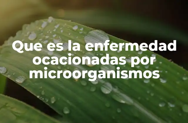 Que es la Enfermedad Ocacionadas por Microorganismos