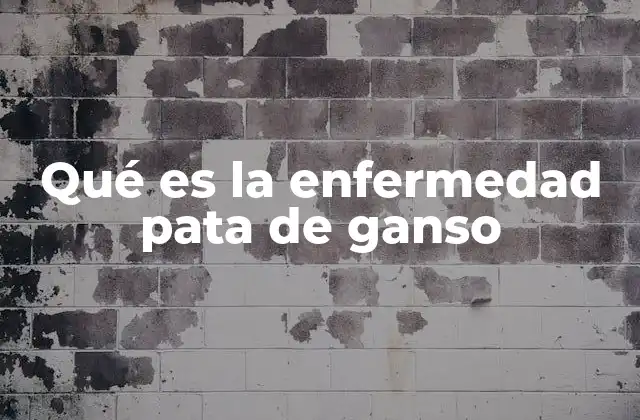 Causas y factores que pueden desencadenar la pata de ganso