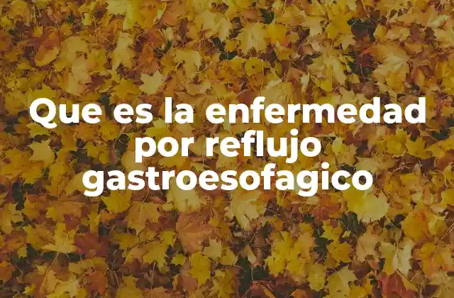 Que es la Enfermedad por Reflujo Gastroesofagico