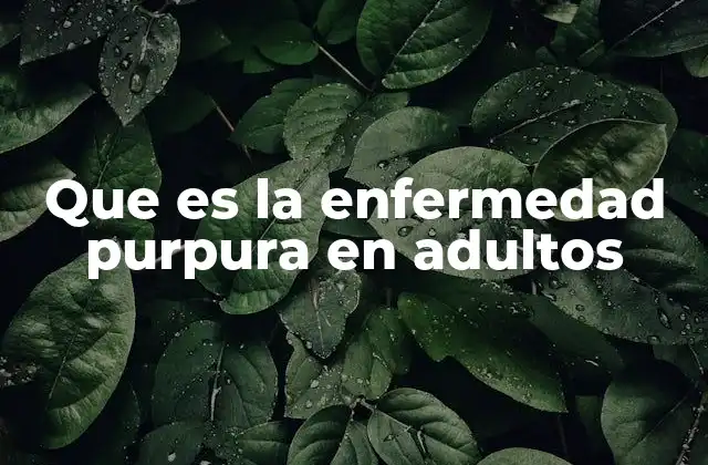 Que es la Enfermedad Purpura en Adultos
