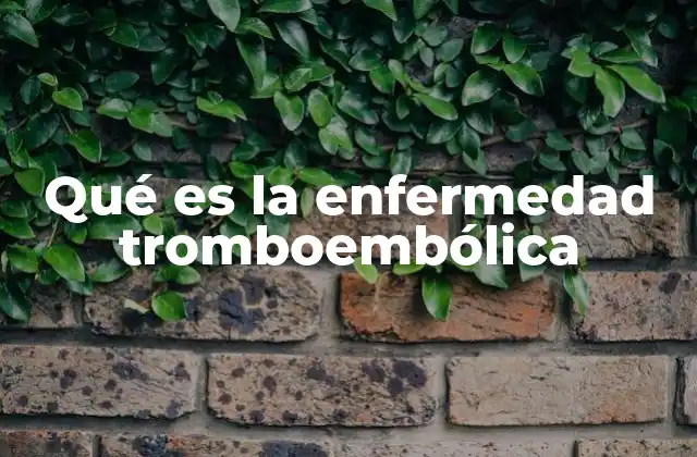 Qué es la Enfermedad Tromboembólica
