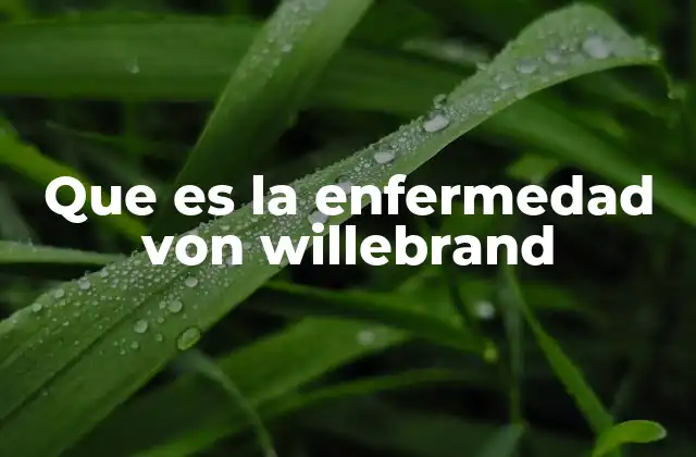 Que es la Enfermedad Von Willebrand