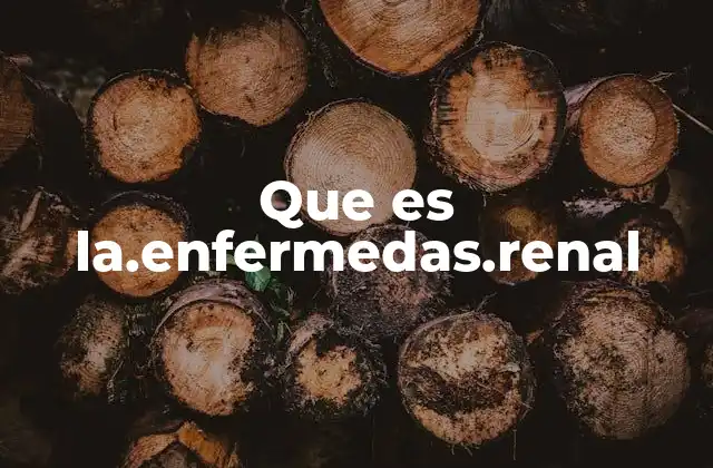 Que es La.enfermedas.renal