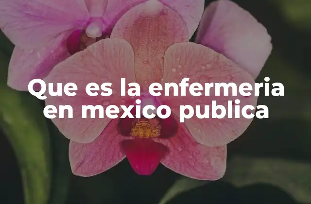 Que es la Enfermeria en Mexico Publica
