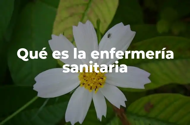 Qué es la Enfermería Sanitaria